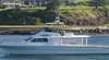 AAA Kiama Harbour Game and Reef Fishing Charters