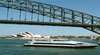 Magistic Cruises