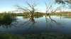 Wonga Wetlands