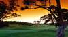 Macarthur Grange Country Club