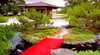Japanese Gardens and Teahouse Campbelltown