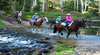 Horse Riding Tours - Glenworth Valley Outdoor Adventures