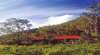 Cedar Creek Vineyard Cottages