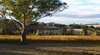 Bloodwood Estate