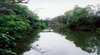 Bomaderry Creek Walking Track