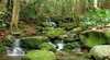Budderoo National Park