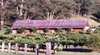 Undercliff Winery and Gallery