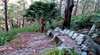 Wodi Wodi Walking Track