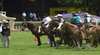 Alstonville Agricultural Show
