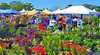 23rd Australian Springtime Flora Festival