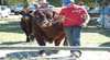 Boorowa Show
