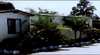 Cedars Caravan Park
