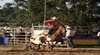 North Coast National Show