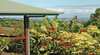 Alstonville Country Cottages