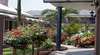 Shellharbour Village Motel
