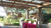 Rosebank Studio