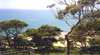 Jibbon View Beach House and Apartment