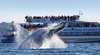 Bass and Flinders Cruises