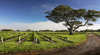 Penola Coonawarra Tour Services