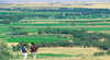 Barossa Best Bed and Breakfast