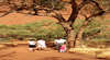 Outback Private Tours