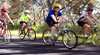 Penola Cycling Trails