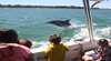 Bouvard Cruises - Mandurah