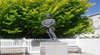 Alexander Cameron Statue