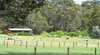 Diamond Forest Cottages