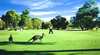 Westralia Golf Tours