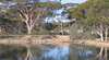 Merredin Railway Dam