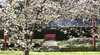 Castlemaine & District Festival of Gardens