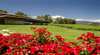 Balgownie Estate Vineyard Resort & Spa