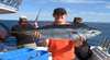 Fishing Offshore Noosa
