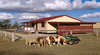 Lee Farmstay