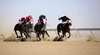 Birdsville Races with Greyhound Australia