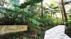 Songbirds Rainforest Retreat