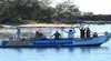 Byron Bay Eco Cruises and Kayaks