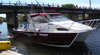 Ballina and Beyond Fishing Trips and Charters