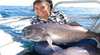 Frenzy Charters