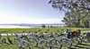 Tour De Long Jetty Cycle Hire