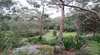Booderee National Park Botanic Garden