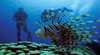 Adventure Dive & Sail – Whitsundays Sailing Adventures