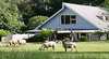 Hide-Away Cottage Retreat