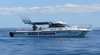 Ally Jay Fishing Charters