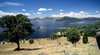 Wyangala Waters State Park