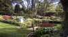 Windyridge Garden - Mount Wilson
