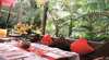 Songbirds in the Forest Restaurant
