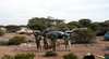 Paintball Skirmish SA