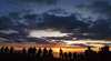 Mindil Beach Sunset Markets